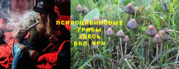 героин Алзамай